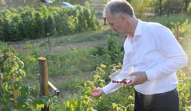 İnegöl Belediyesi Ücretsiz Toprak Analizi Uygulaması Devam Ediyor