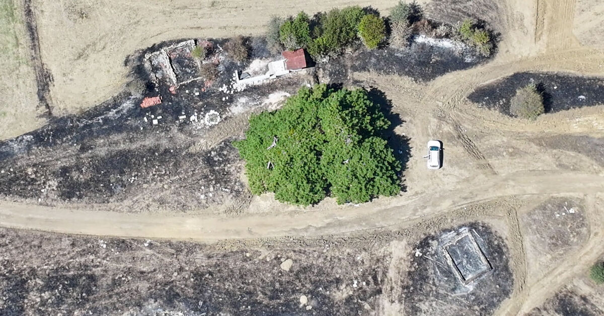 Orman yangınında 300 yıllık çam ağacı kurtarıldı: Koruma altına alınsın talebi