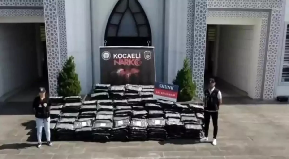 Kocaeli’de 345 Kilo Skunk Ele Geçirildi