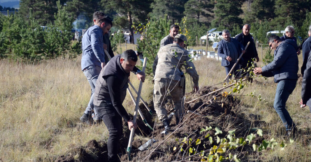 Sarıkamış ve Çanakkale şehitleri anısına hatıra ormanı