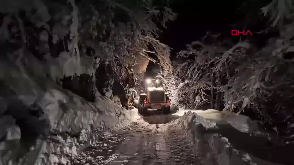 Trabzon’da Yoğun Kar Mağduru Koyunlar Kurtarıldı