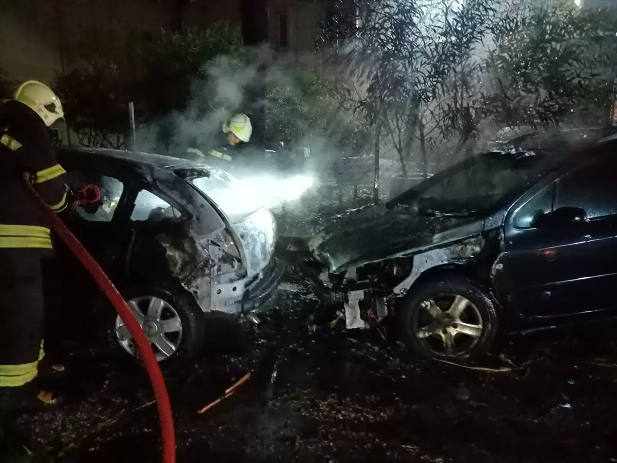 Bodrum’da Yıldırım Düşen Ağacın Altındaki Araçlar Yandı